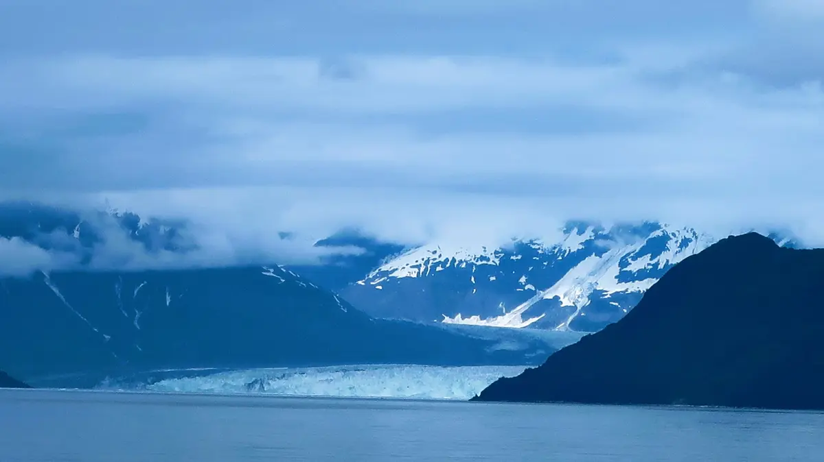 Alaska & Antarctica Cruises