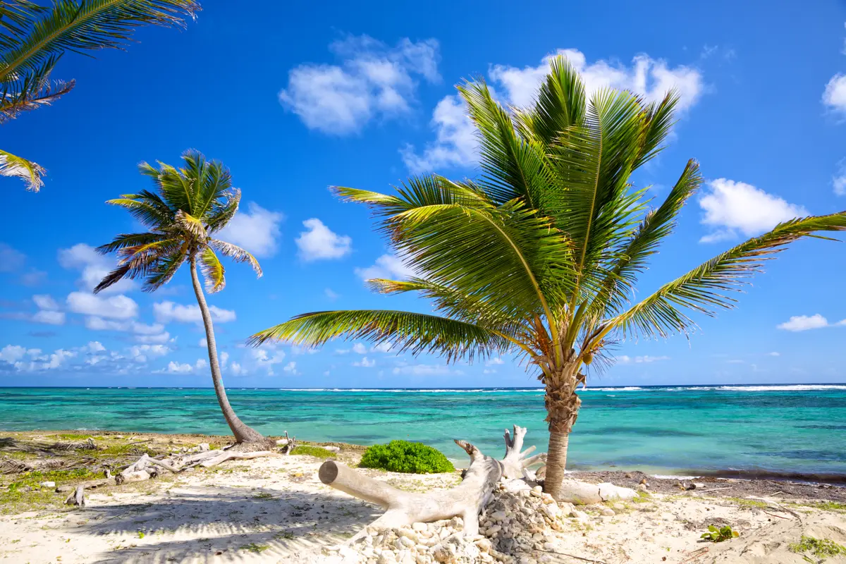 Caribbean Cruises