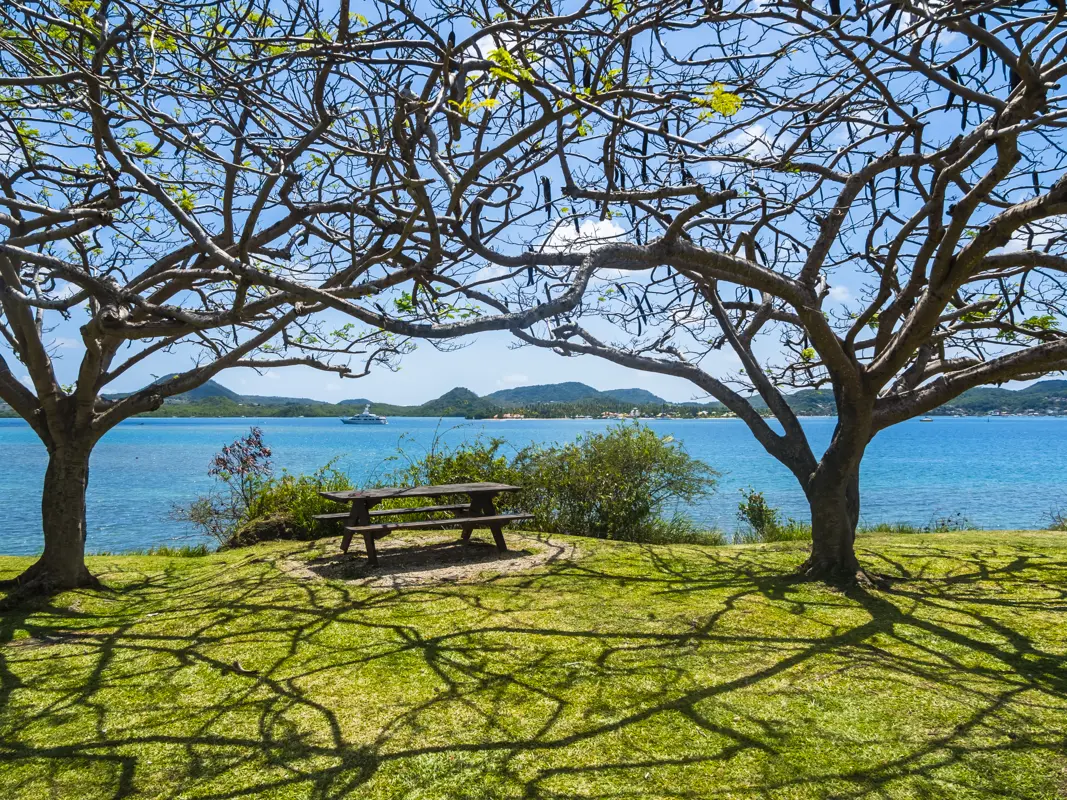 Martinique