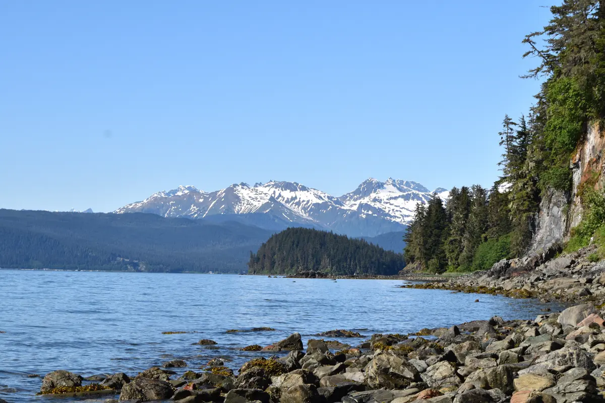 Alaska and Antarctica Cruises