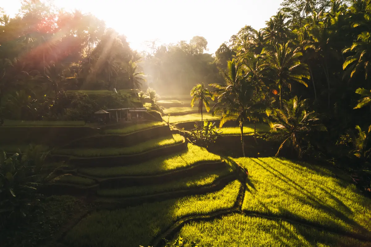 Bali