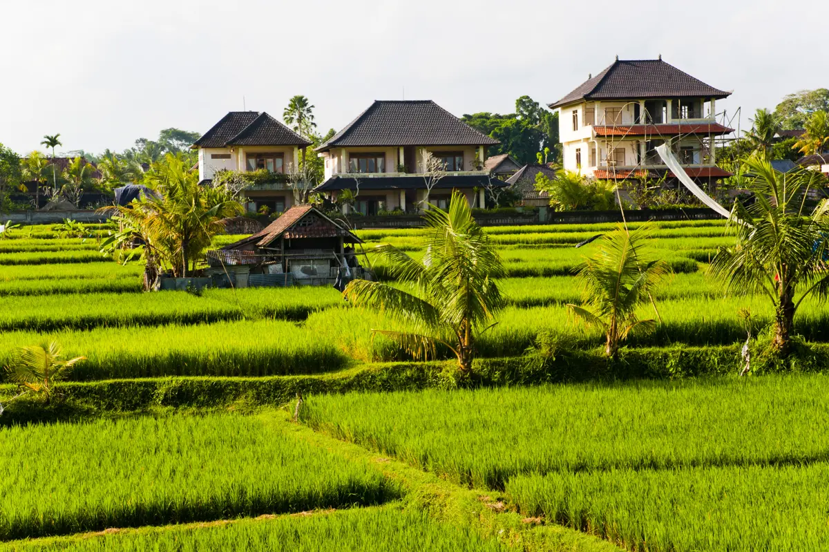 Canggu