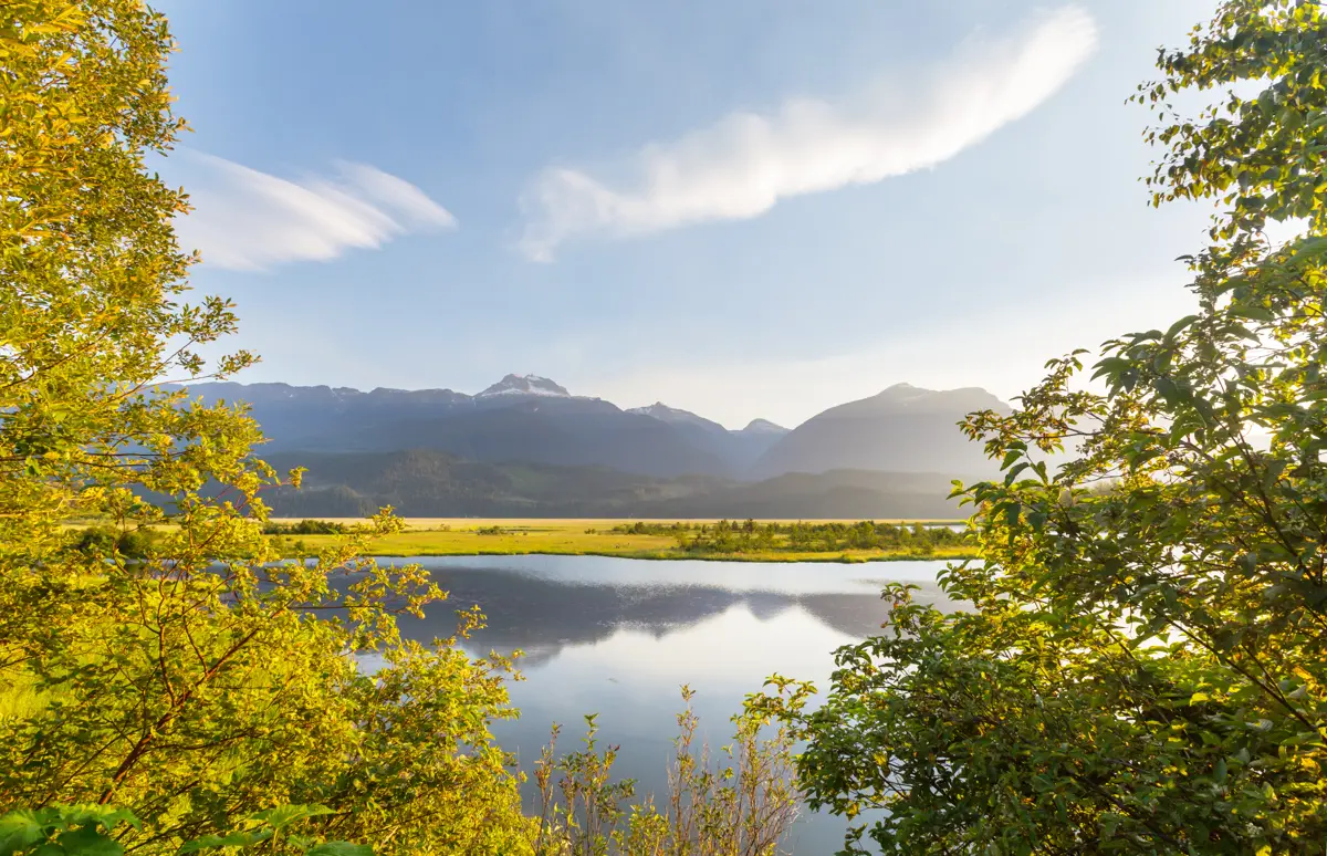 Scenic Coach Tours