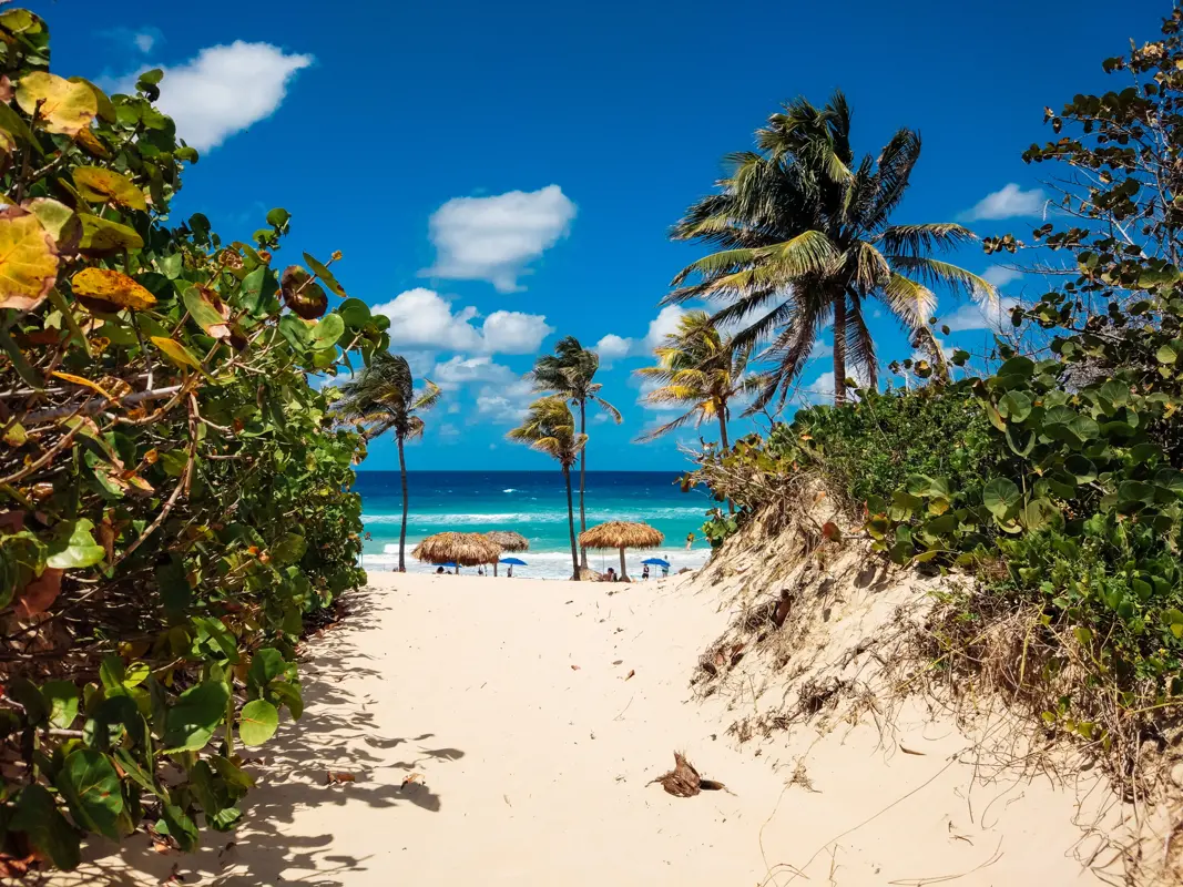 Caribbean Cruises